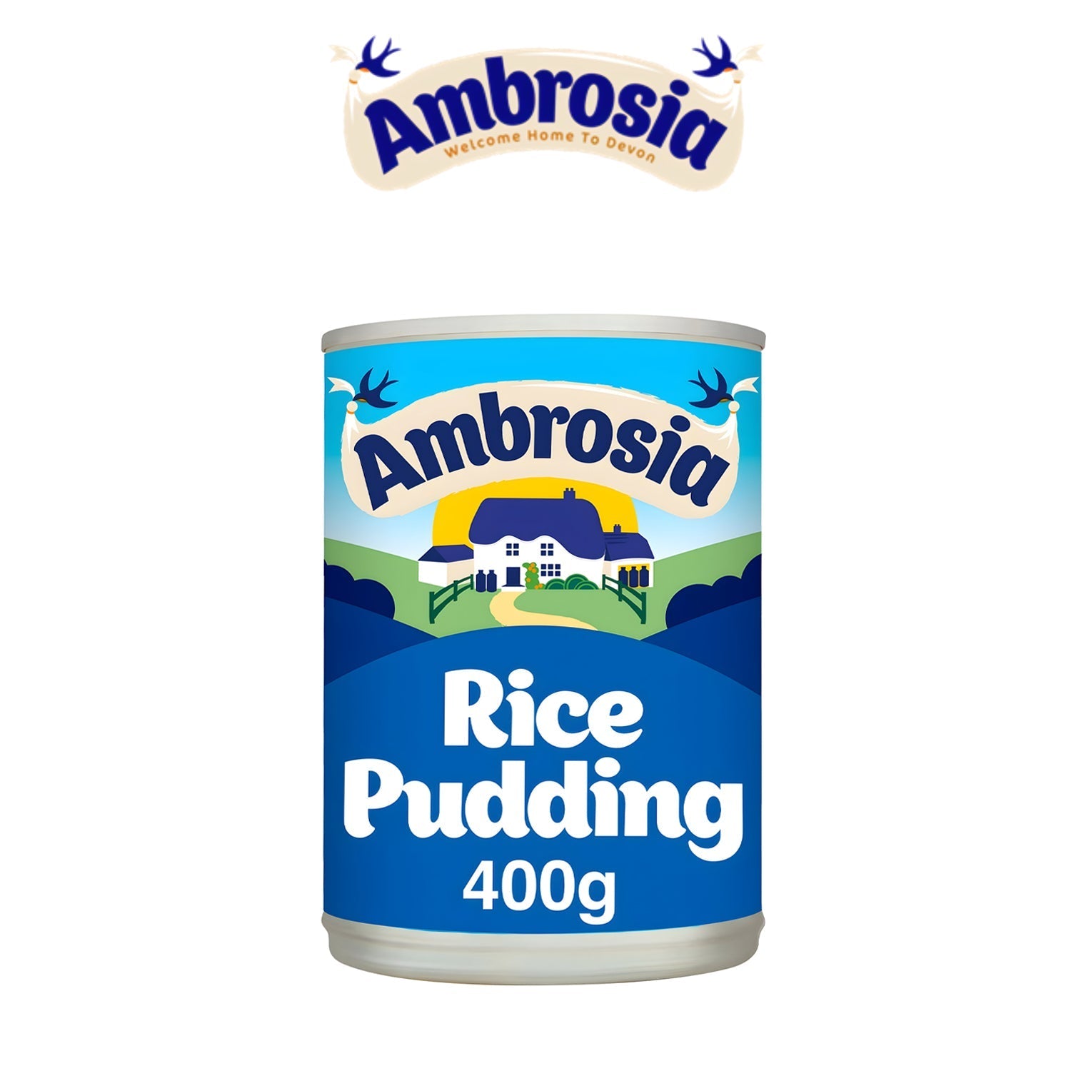 Rice Pudding - - Ambrosia