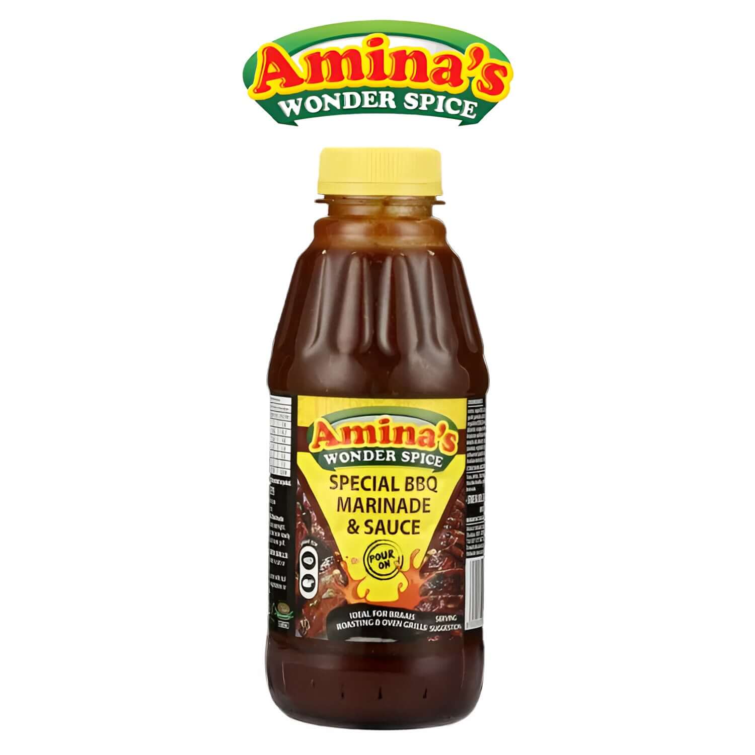 Special BBQ Marinade - - Amina's Spice - Grilling, BBQ and Roasting
