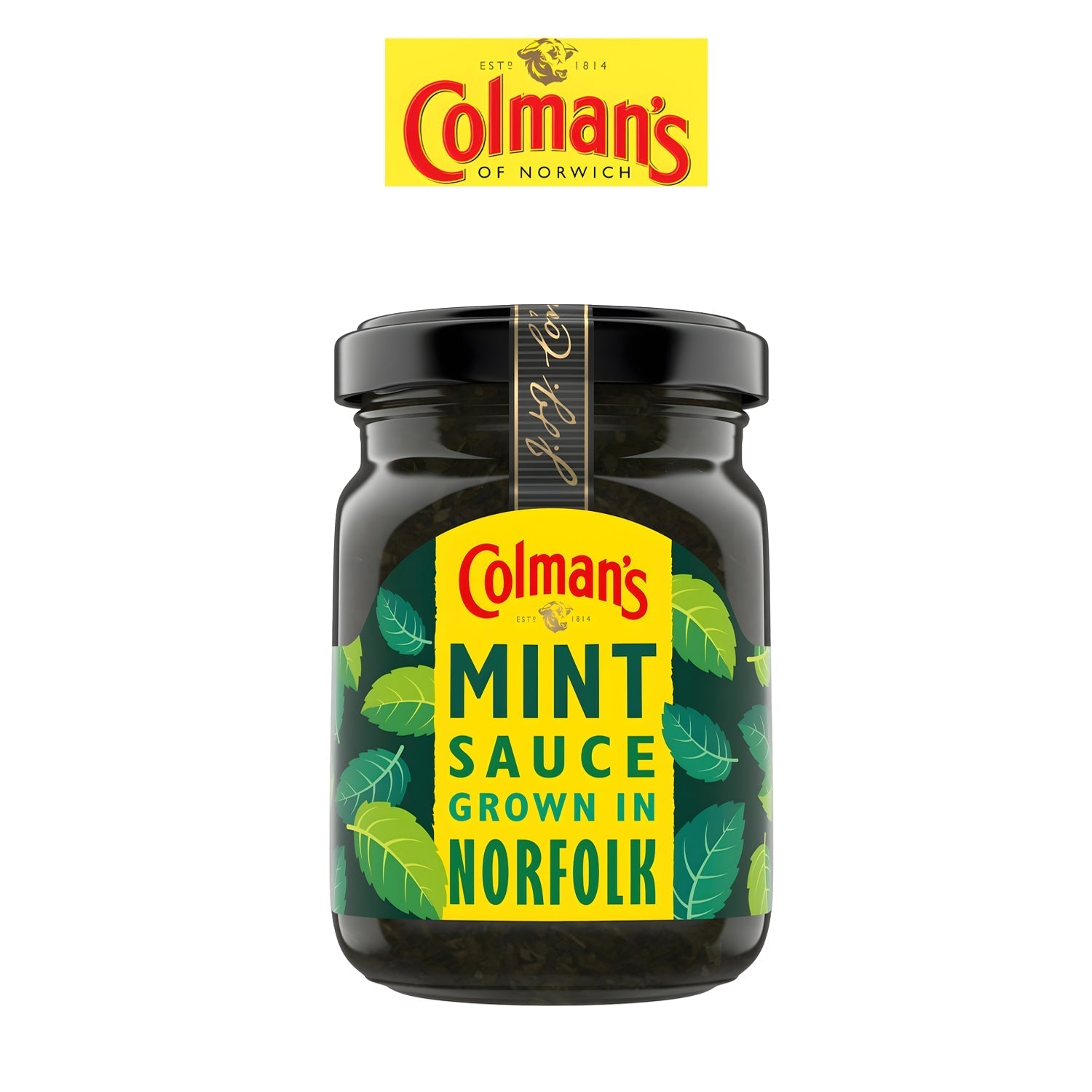 Mint Sauce - - Colman's