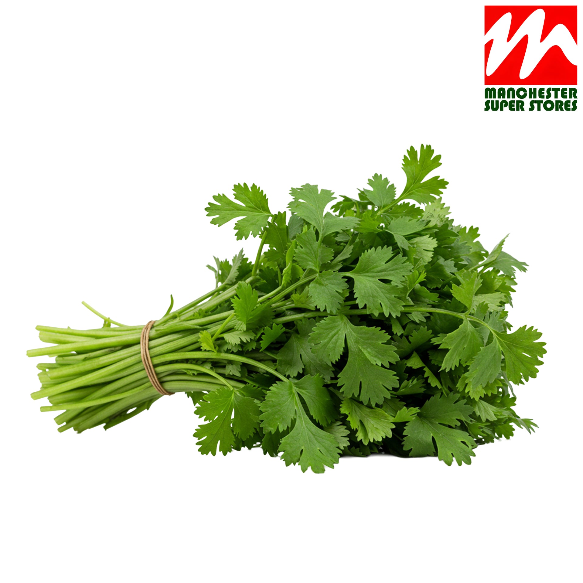 Coriander Bunch