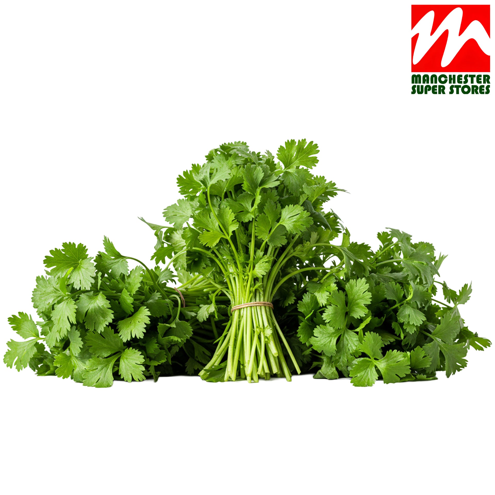 Coriander Bunch