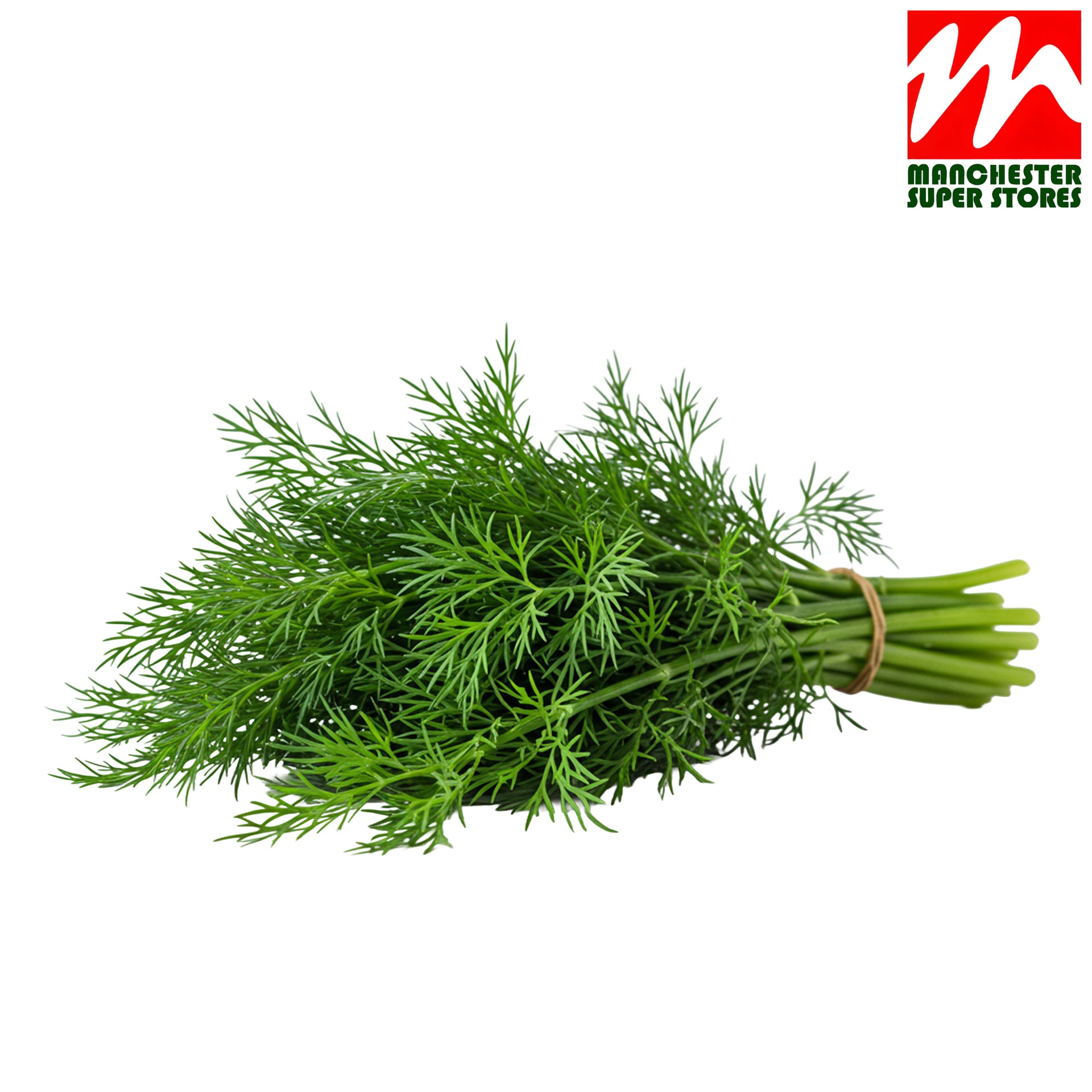 Fresh Dill