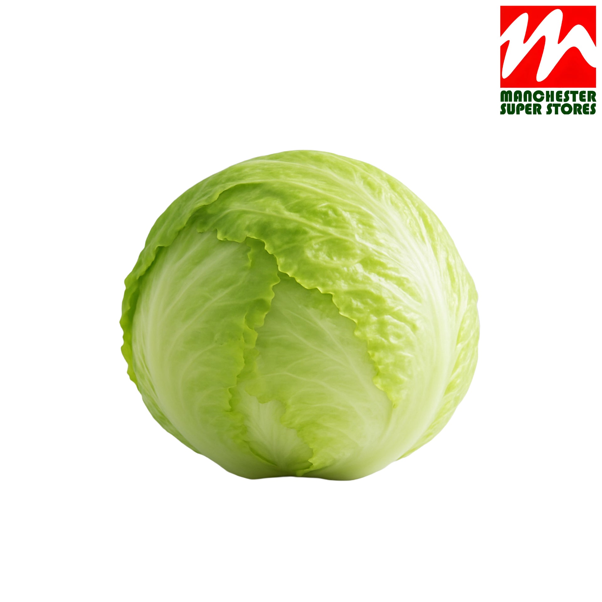 Iceberg Lettuce