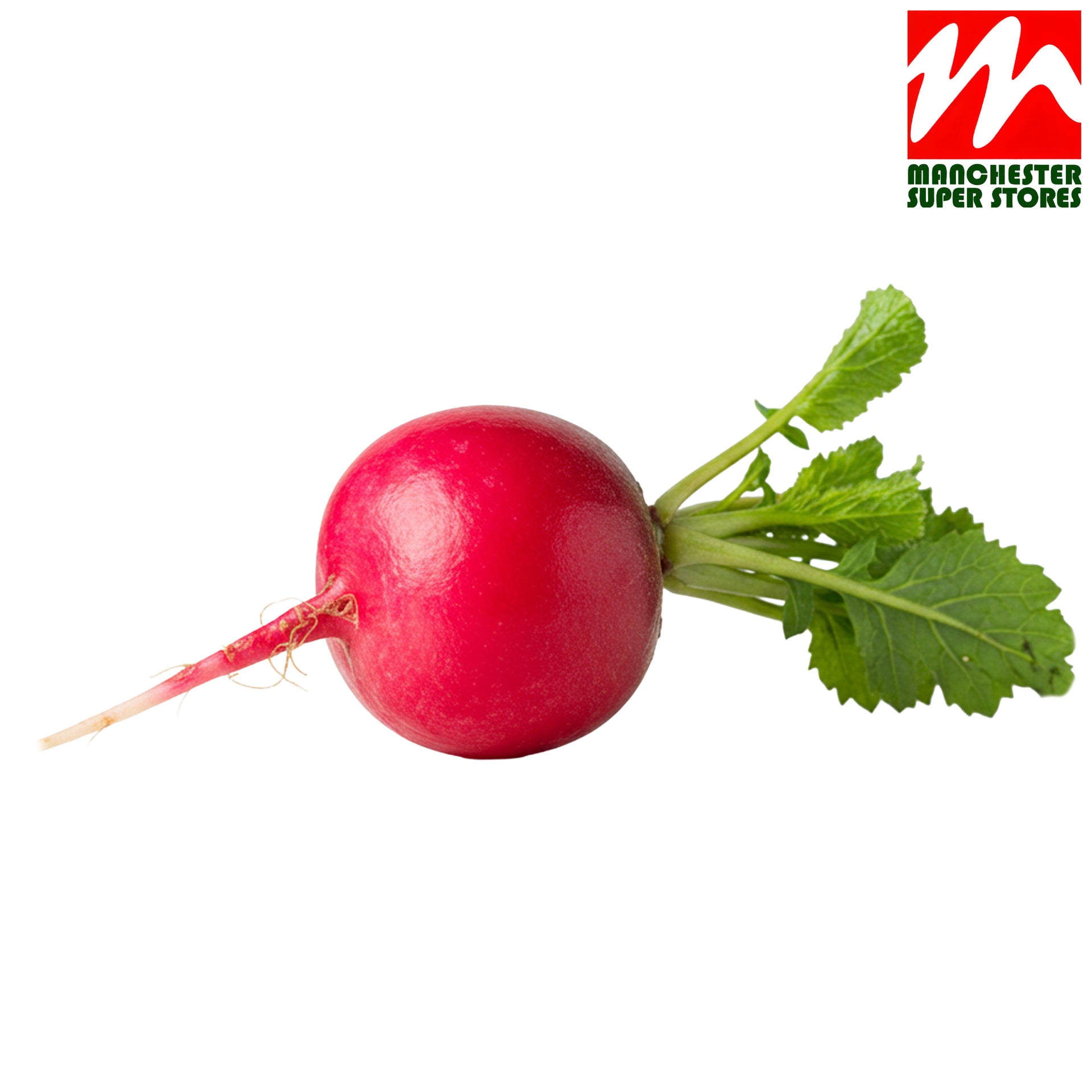 Red Radish