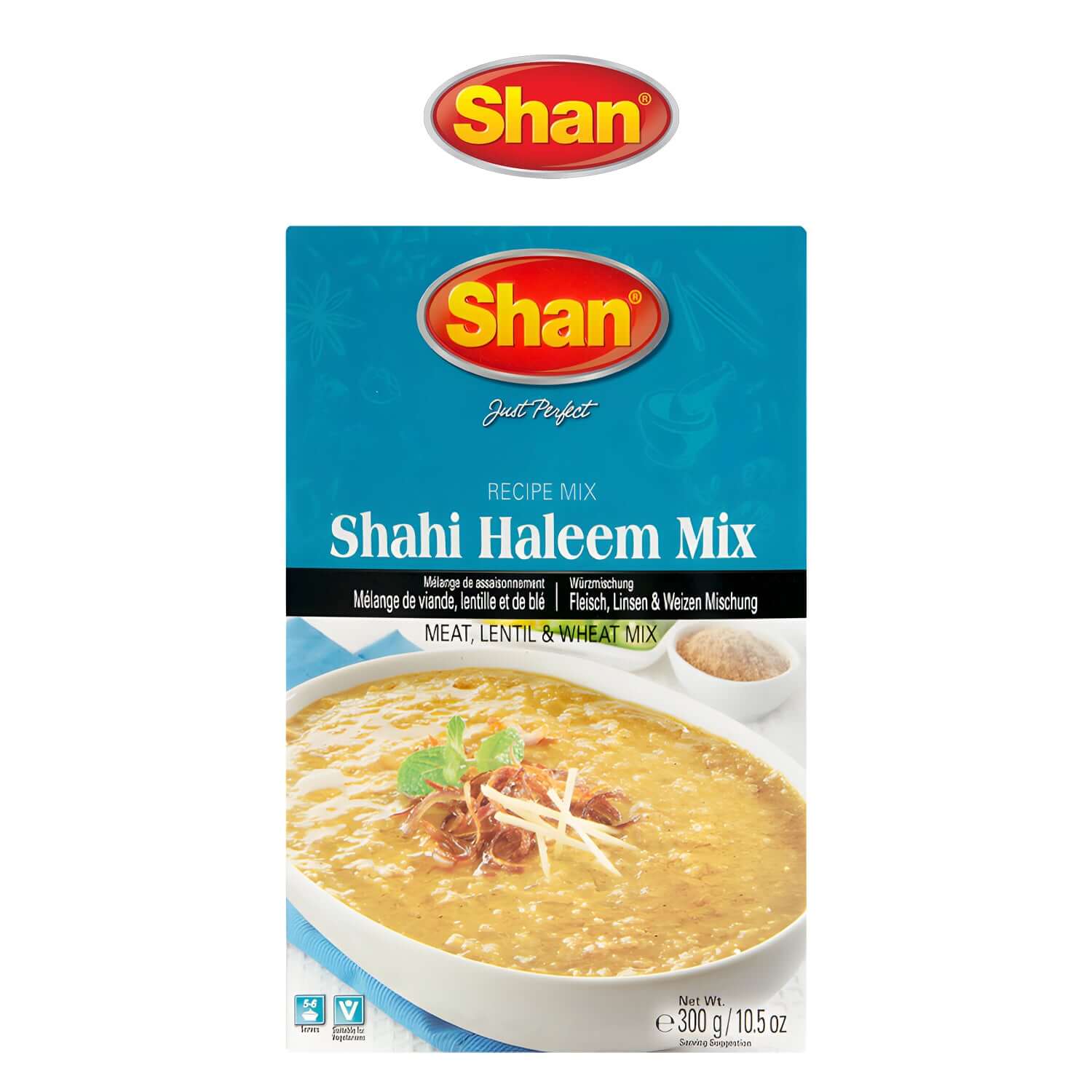 Special Shahi Haleem Mix - Shan