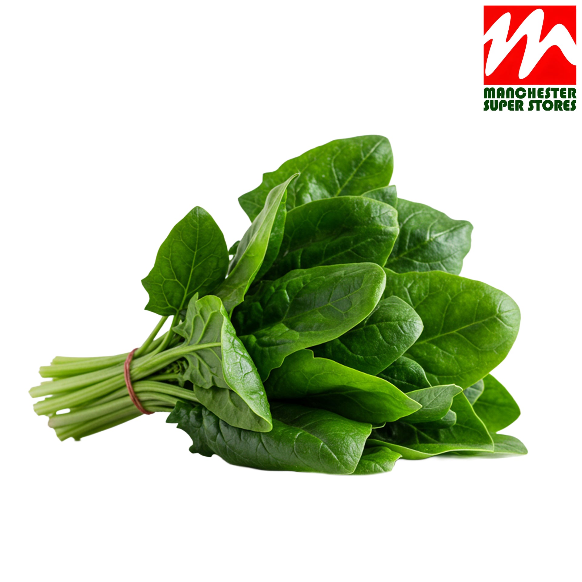 Fresh Spinach