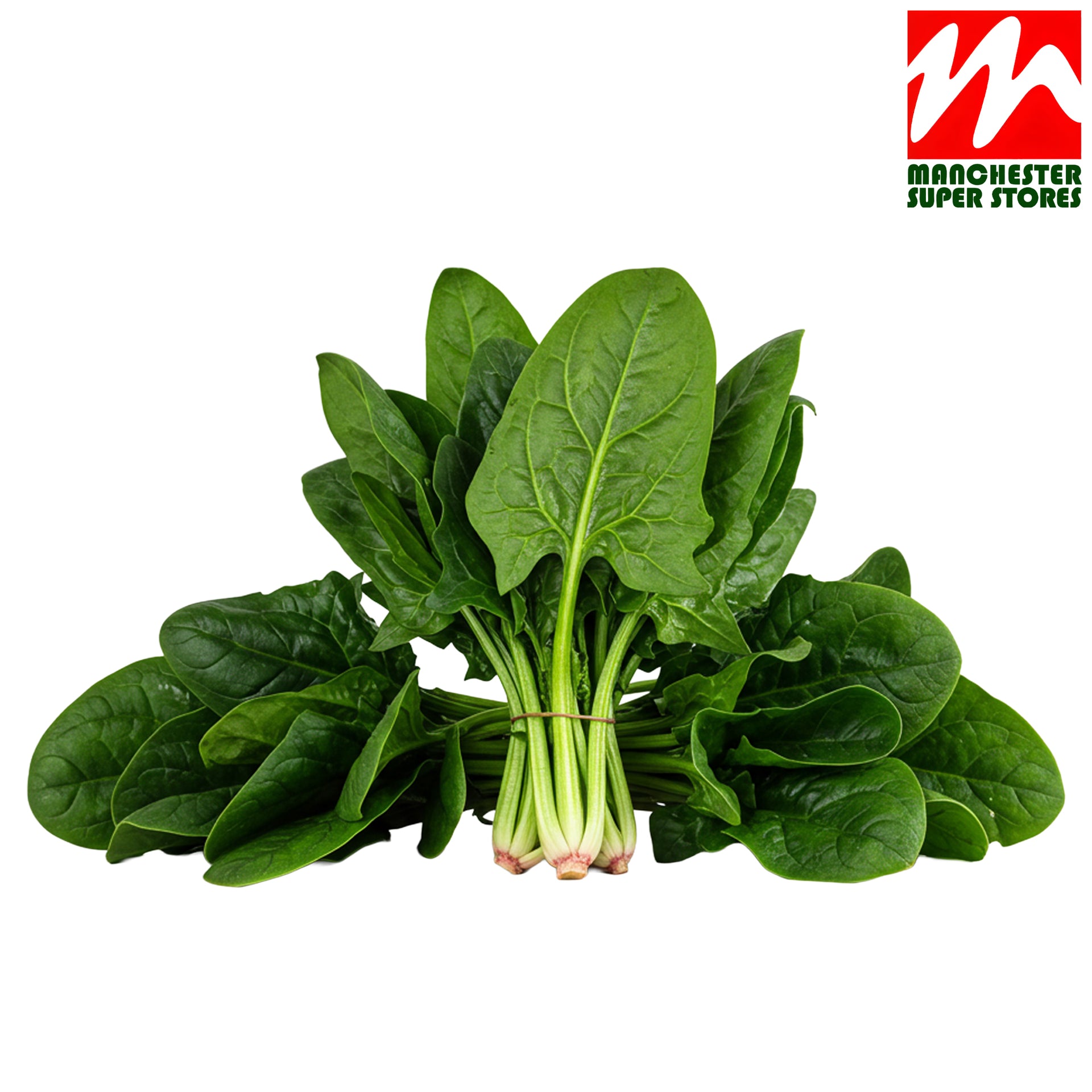 Fresh Spinach
