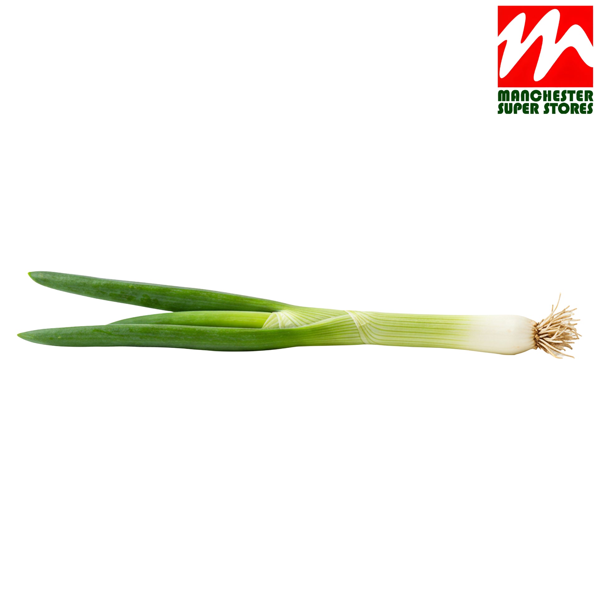 Spring Onion