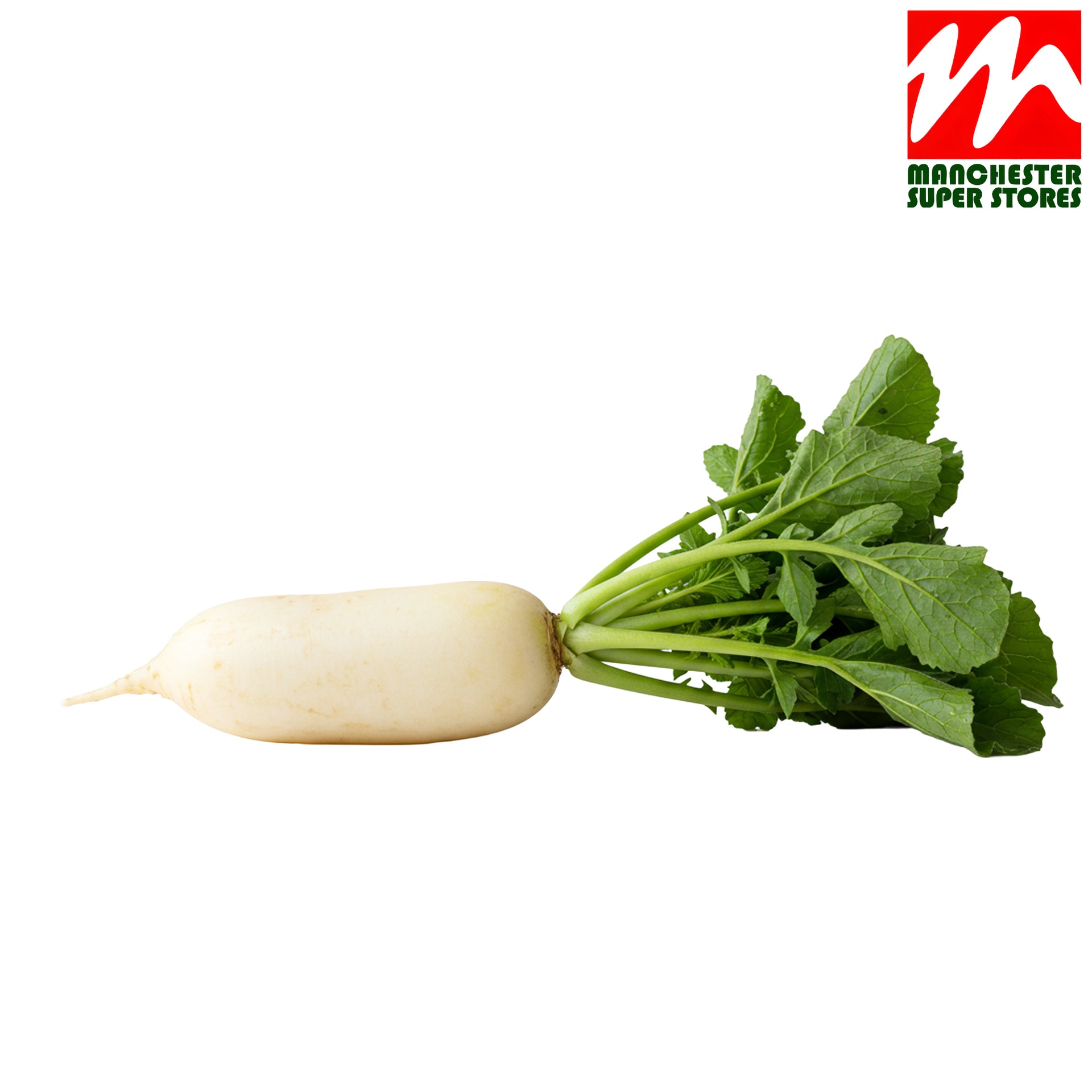 White Radish