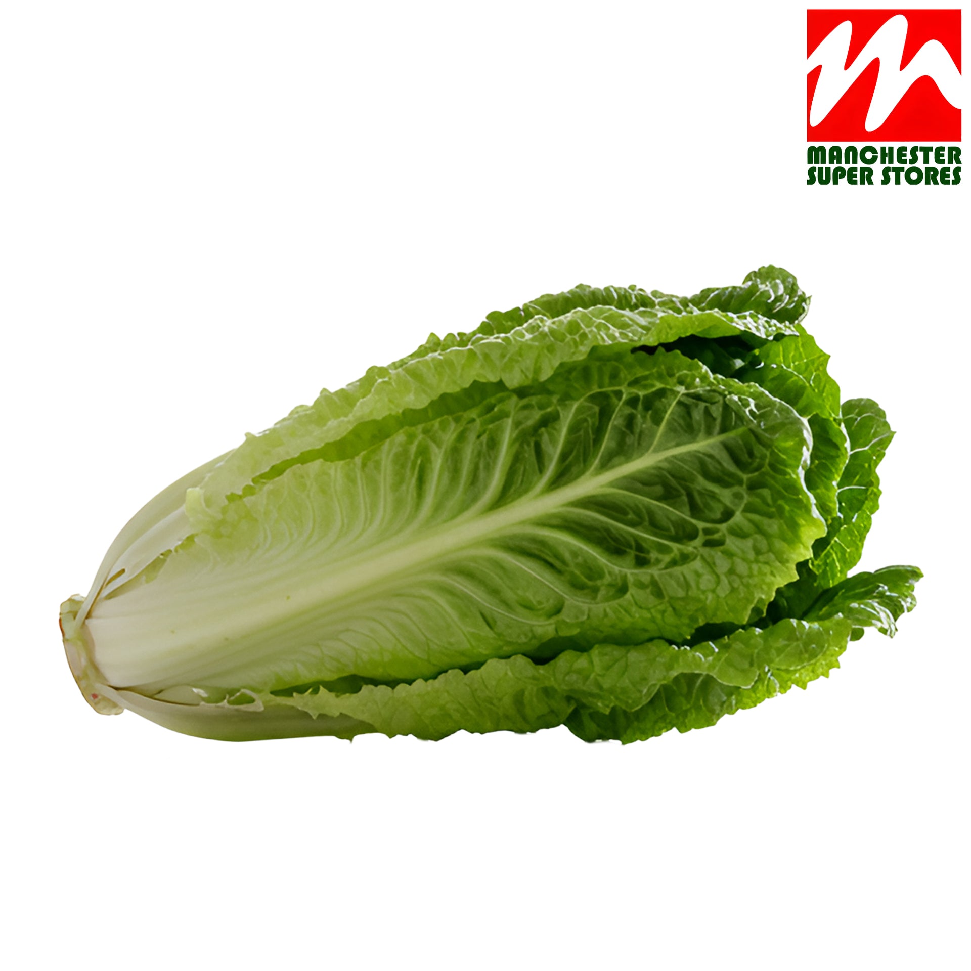 Chinese Lettuce